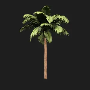 Tropical Palm Tree