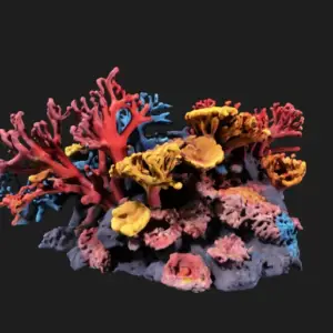 Vibrant Coral Reefs